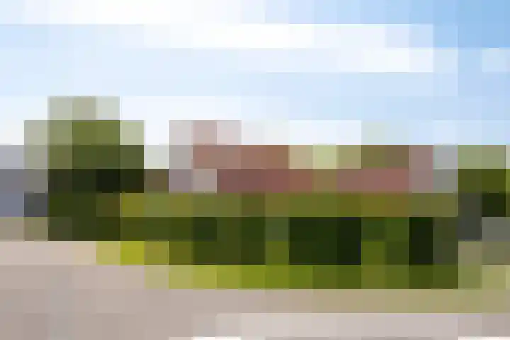 Hopman de Rijklaan 37 Vrouwenpolder thumbnail 5