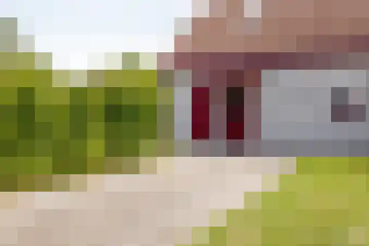 Hopman de Rijklaan 37 Vrouwenpolder thumbnail 6