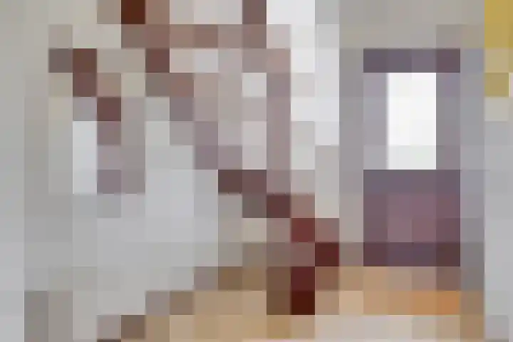 Hopman de Rijklaan 37 Vrouwenpolder thumbnail 7