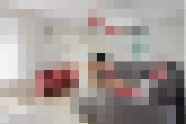 Hopman de Rijklaan 37 Vrouwenpolder thumbnail 8