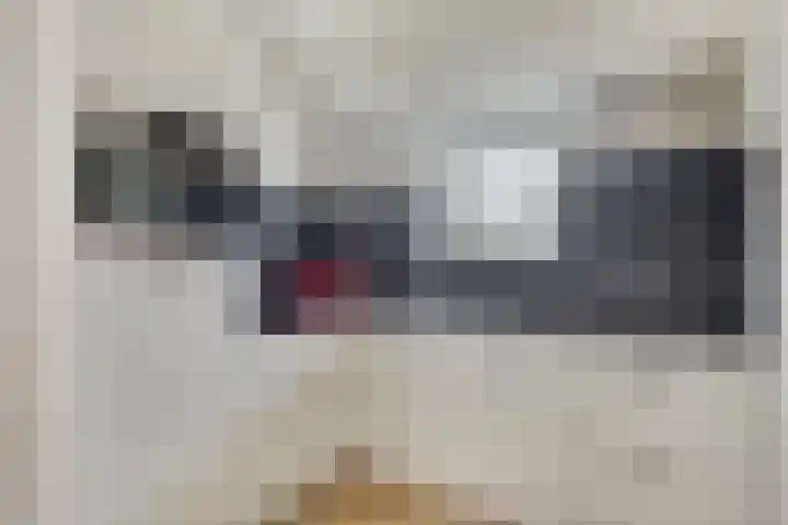 Hopman de Rijklaan 50 Vrouwenpolder thumbnail 11