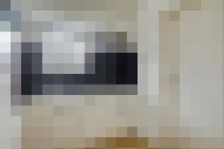 Hopman de Rijklaan 50 Vrouwenpolder thumbnail 12