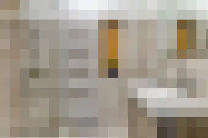 Hopman de Rijklaan 50 Vrouwenpolder thumbnail 16