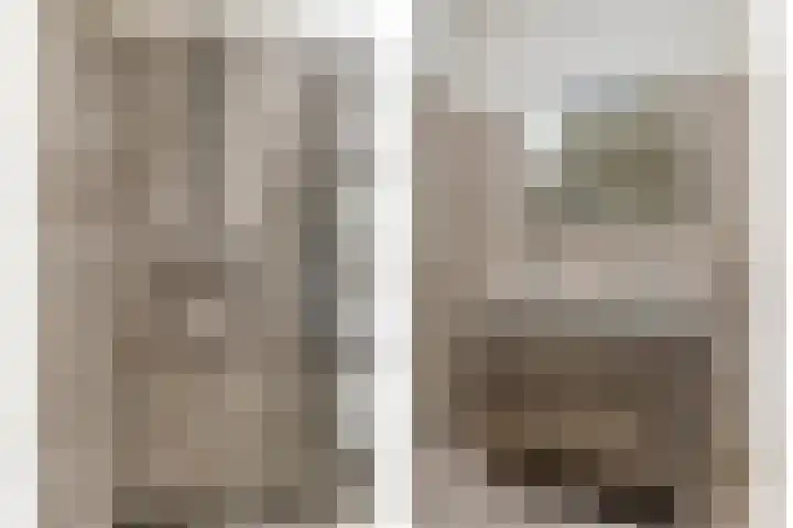 Hopman de Rijklaan 50 Vrouwenpolder thumbnail 17