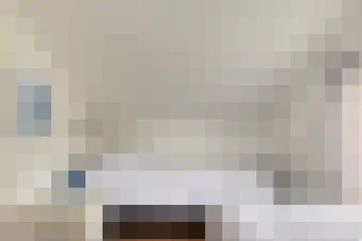 Hopman de Rijklaan 50 Vrouwenpolder thumbnail 21