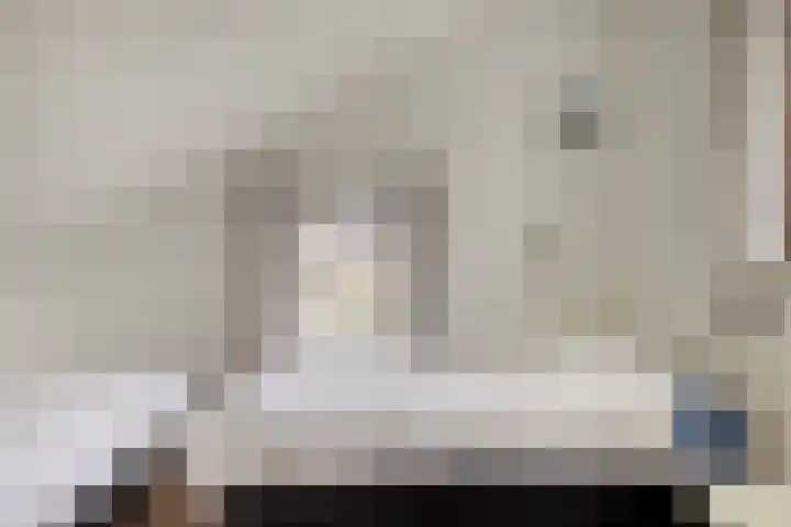 Hopman de Rijklaan 50 Vrouwenpolder thumbnail 22