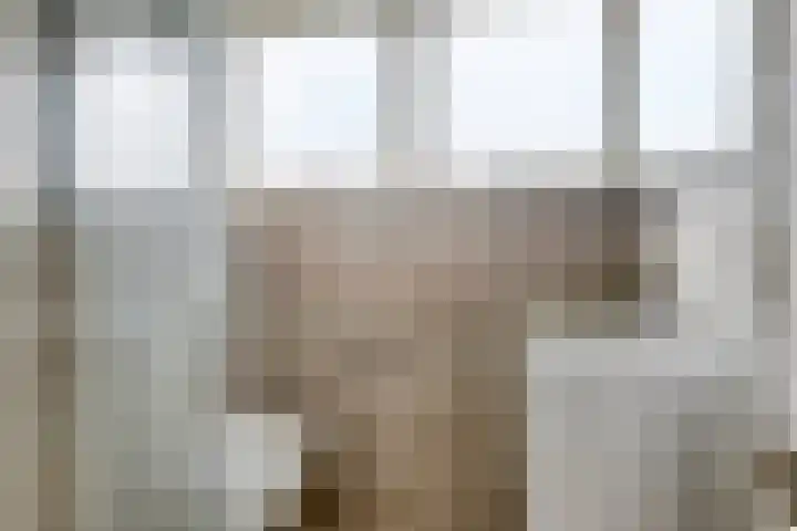 Hopman de Rijklaan 50 Vrouwenpolder thumbnail 23
