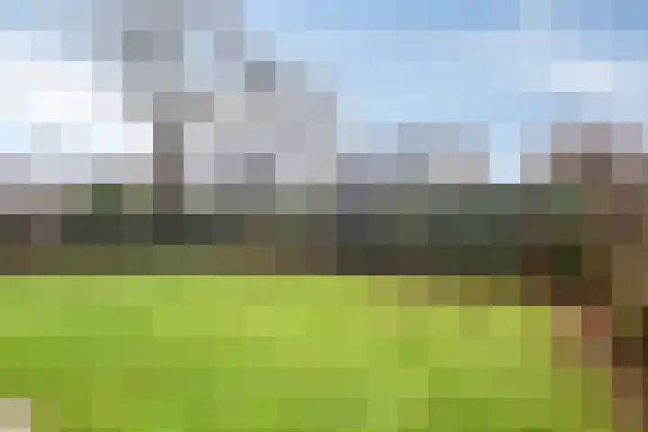 Hopman de Rijklaan 50 Vrouwenpolder thumbnail 27
