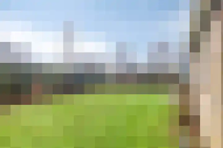 Hopman de Rijklaan 50 Vrouwenpolder thumbnail 28