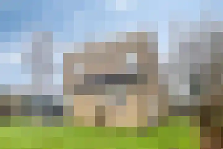 Hopman de Rijklaan 50 Vrouwenpolder thumbnail 29