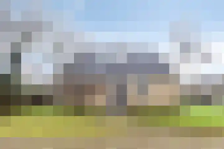 Hopman de Rijklaan 50 Vrouwenpolder thumbnail 30