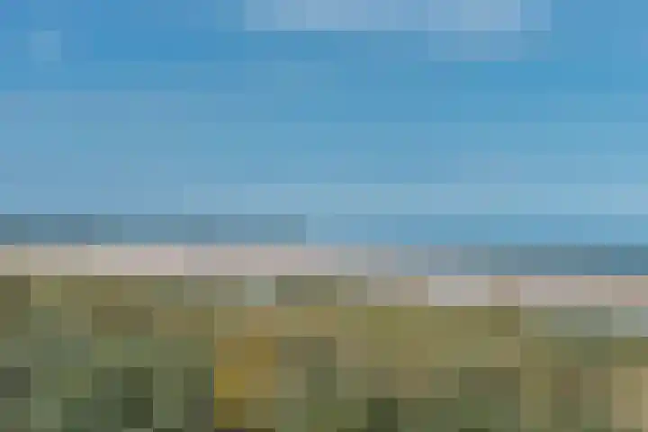 Hopman de Rijklaan 50 Vrouwenpolder thumbnail 31