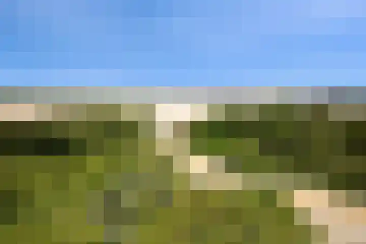 Hopman de Rijklaan 50 Vrouwenpolder thumbnail 34