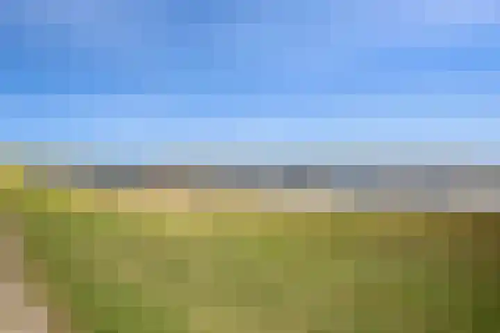 Hopman de Rijklaan 50 Vrouwenpolder thumbnail 35