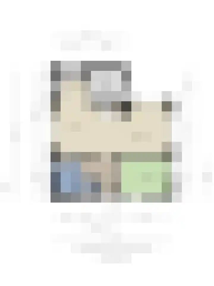 Hopman de Rijklaan 50 Vrouwenpolder thumbnail 36