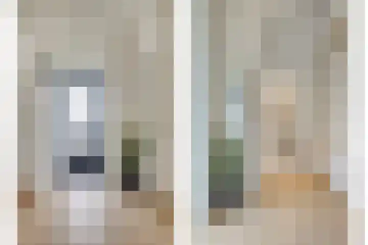Hopman de Rijklaan 50 Vrouwenpolder thumbnail 4