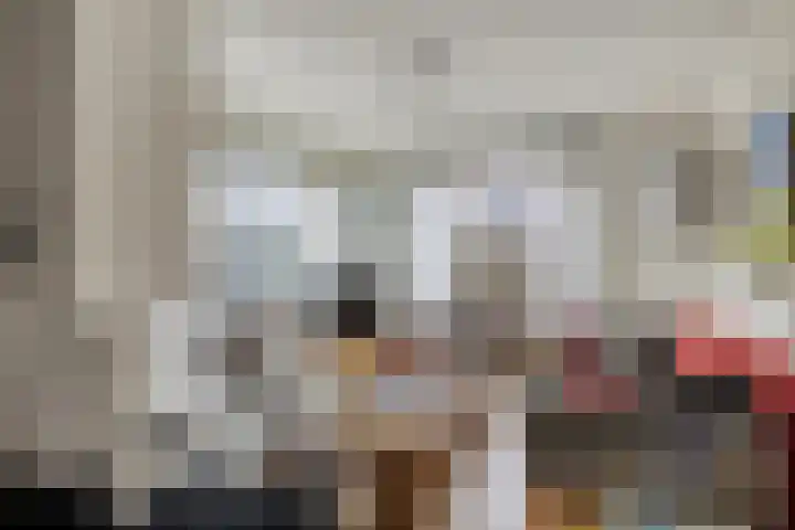 Hopman de Rijklaan 50 Vrouwenpolder thumbnail 6