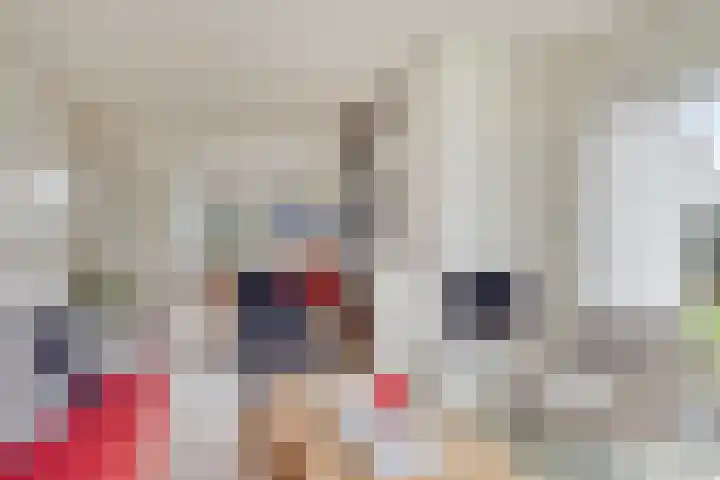 Hopman de Rijklaan 50 Vrouwenpolder thumbnail 8