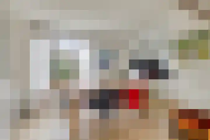 Hopman de Rijklaan 50 Vrouwenpolder thumbnail 9