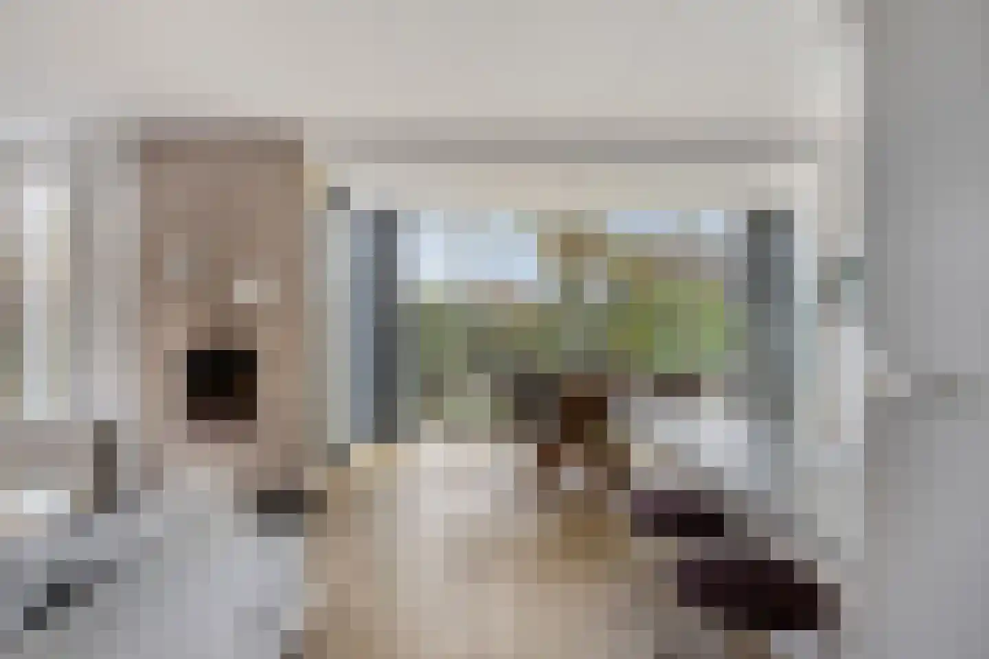 Hopman de Rijklaan 63 Vrouwenpolder thumbnail 10