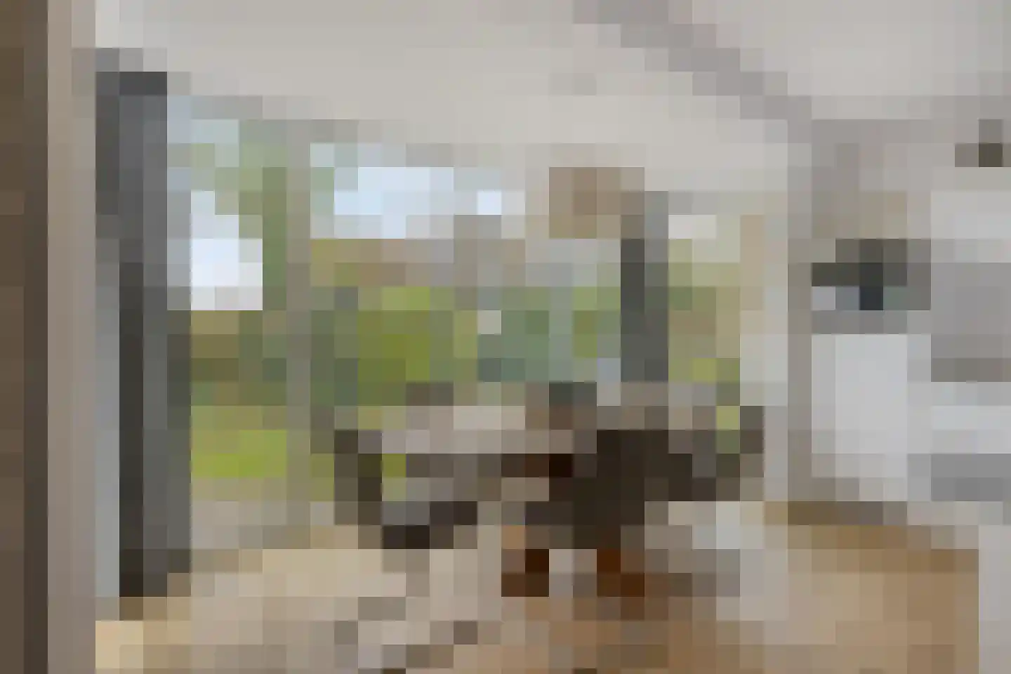 Hopman de Rijklaan 63 Vrouwenpolder thumbnail 11