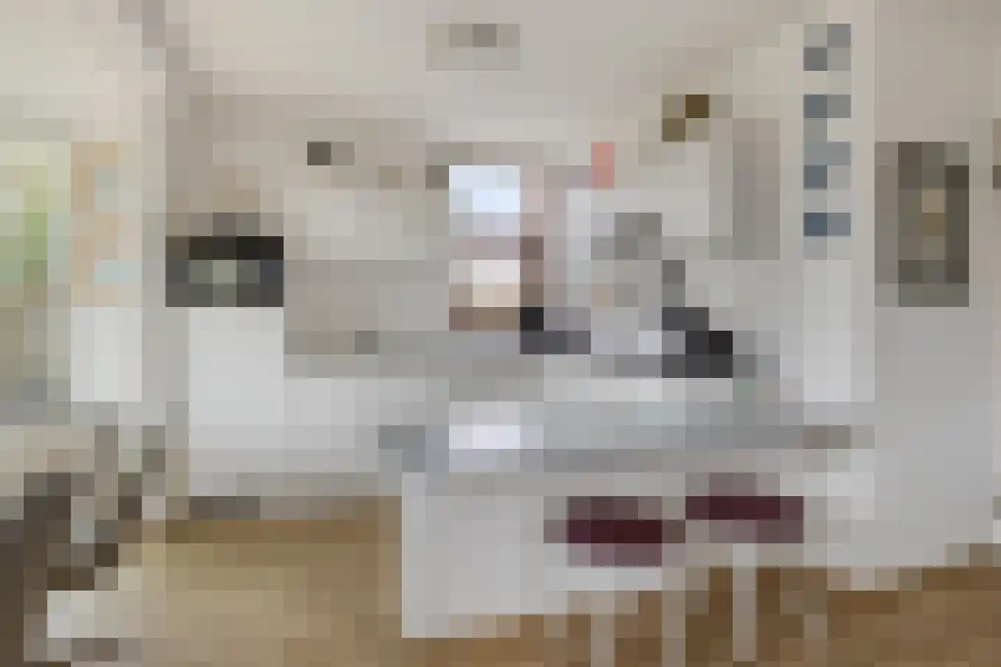 Hopman de Rijklaan 63 Vrouwenpolder thumbnail 12
