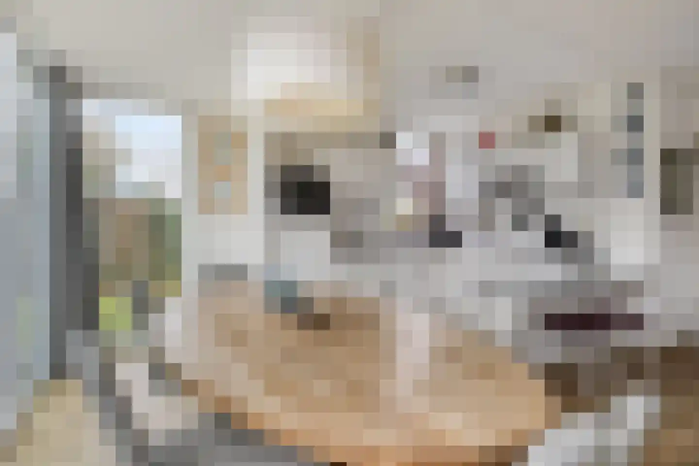 Hopman de Rijklaan 63 Vrouwenpolder thumbnail 13