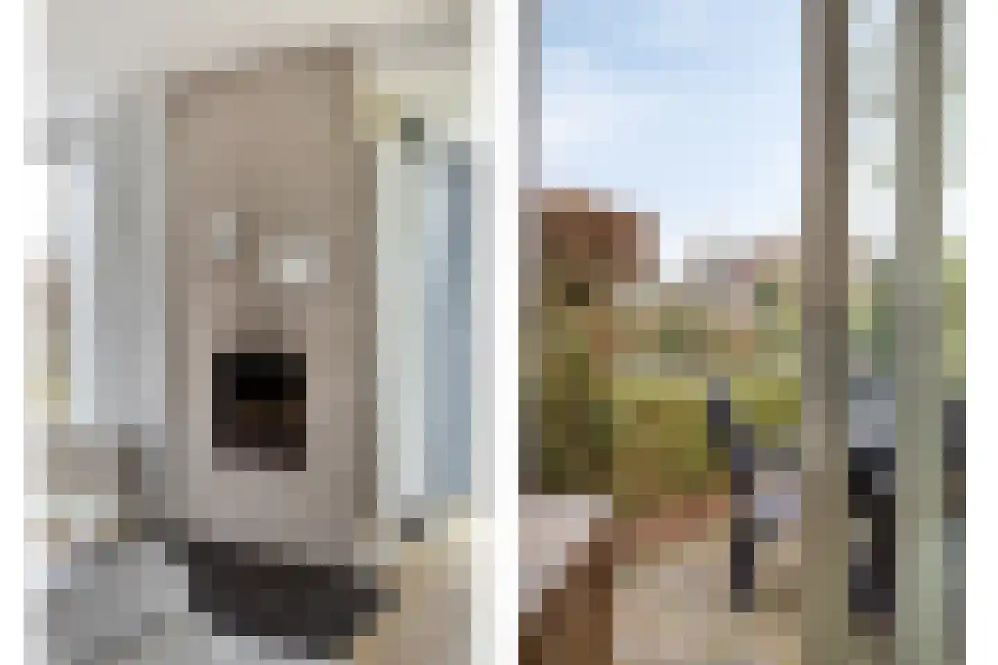 Hopman de Rijklaan 63 Vrouwenpolder thumbnail 14