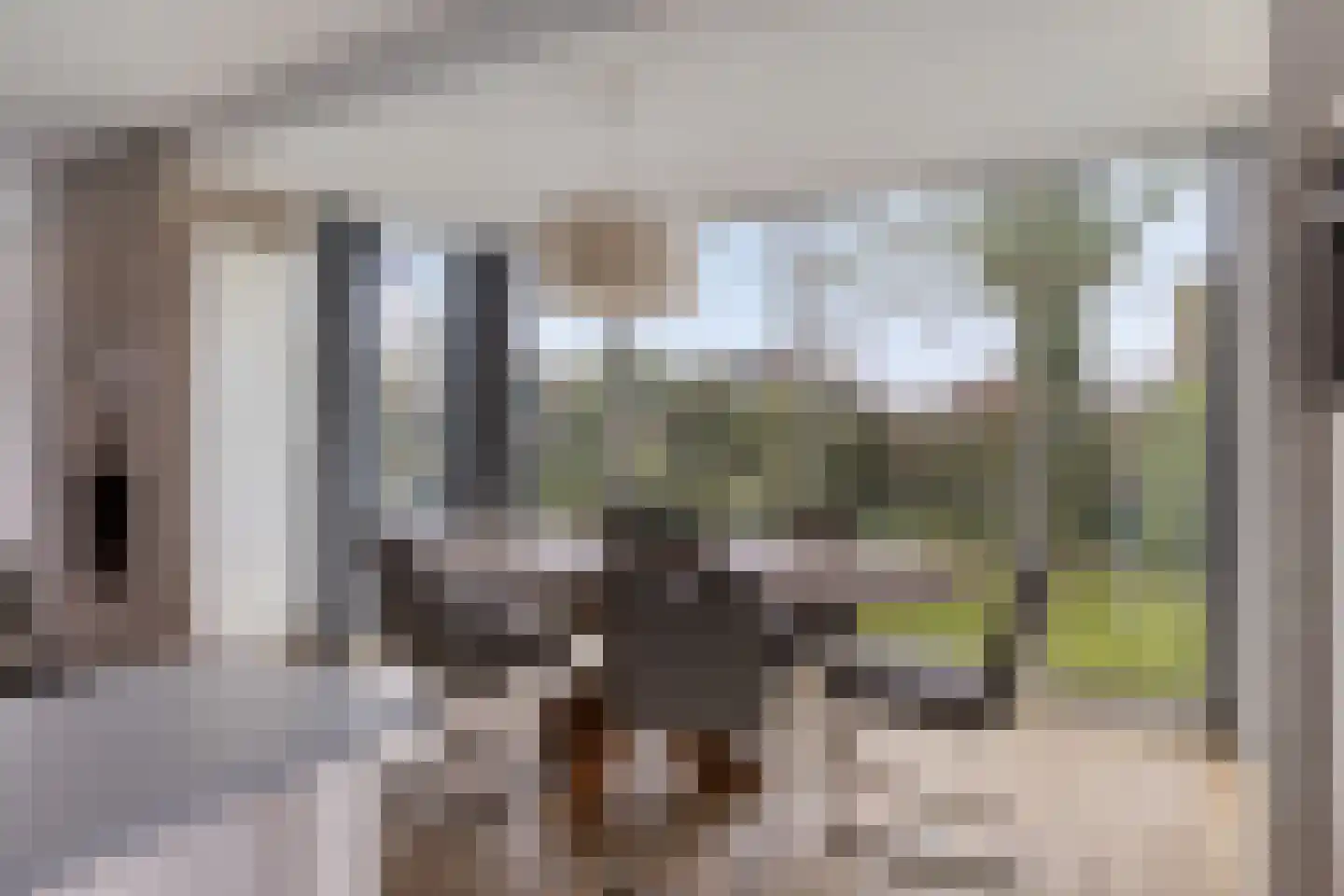 Hopman de Rijklaan 63 Vrouwenpolder thumbnail 16