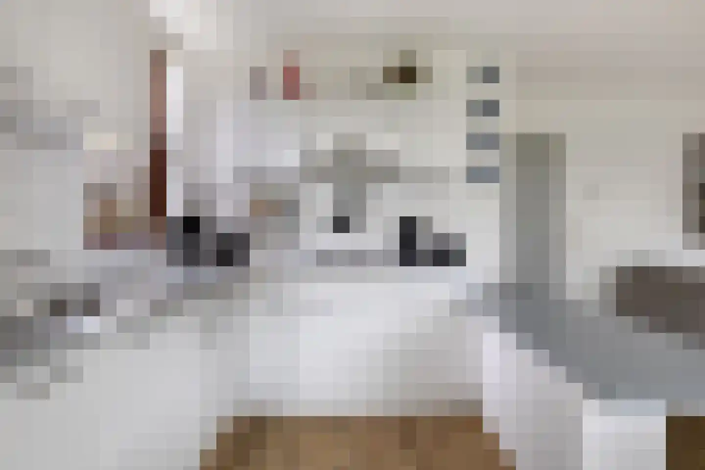 Hopman de Rijklaan 63 Vrouwenpolder thumbnail 17