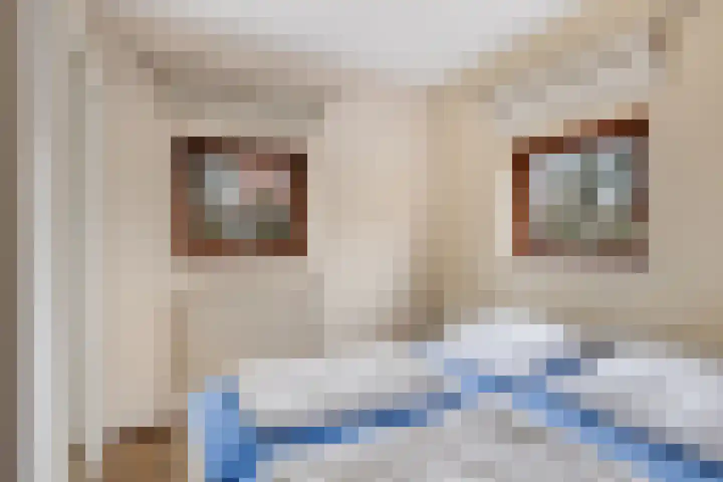 Hopman de Rijklaan 63 Vrouwenpolder thumbnail 19