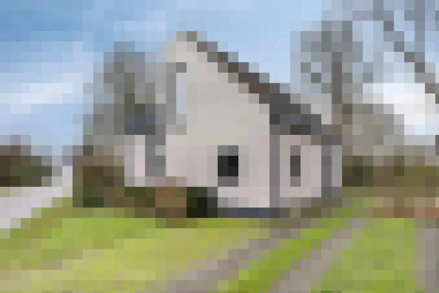 Hopman de Rijklaan 63 Vrouwenpolder foto 2