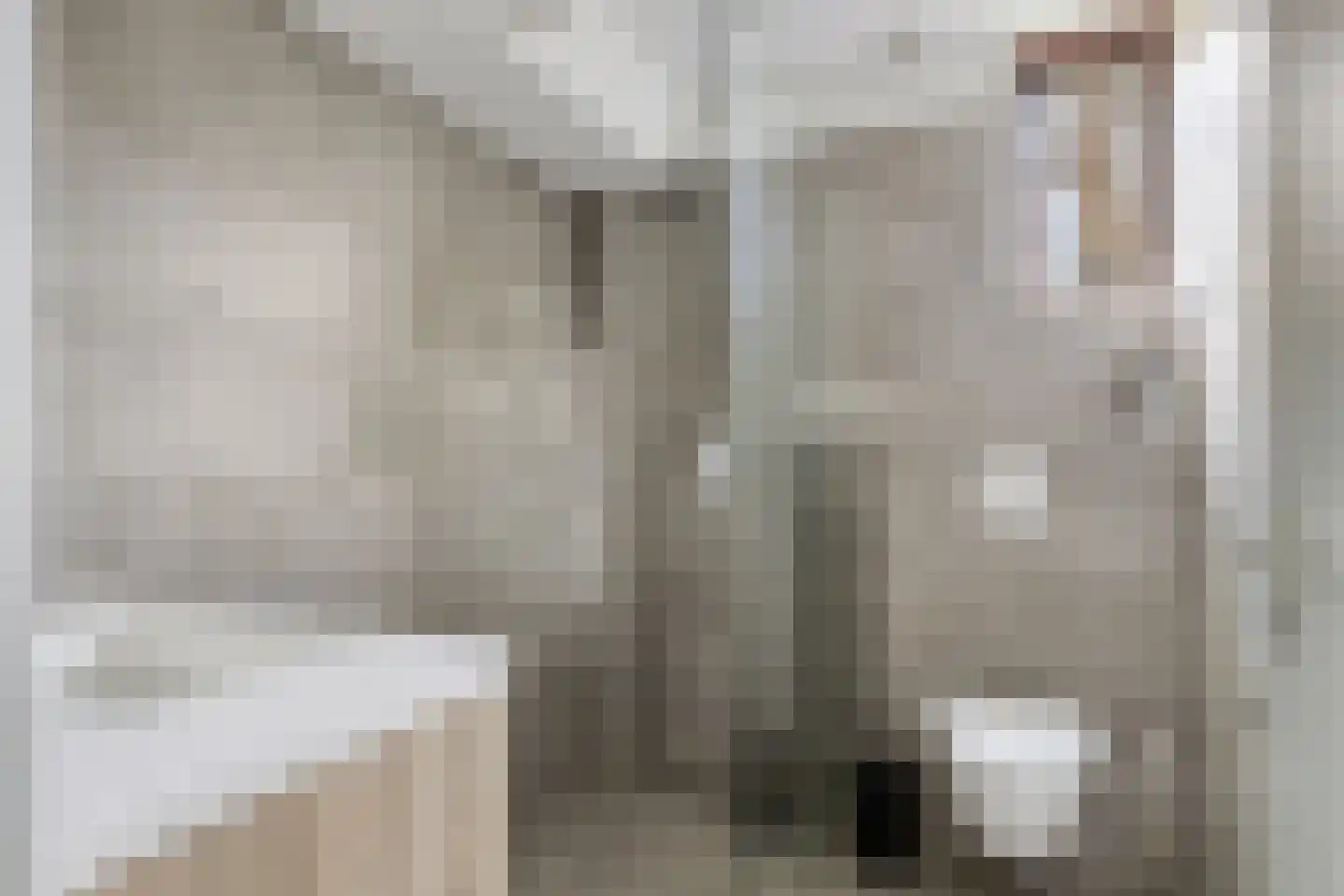 Hopman de Rijklaan 63 Vrouwenpolder thumbnail 20