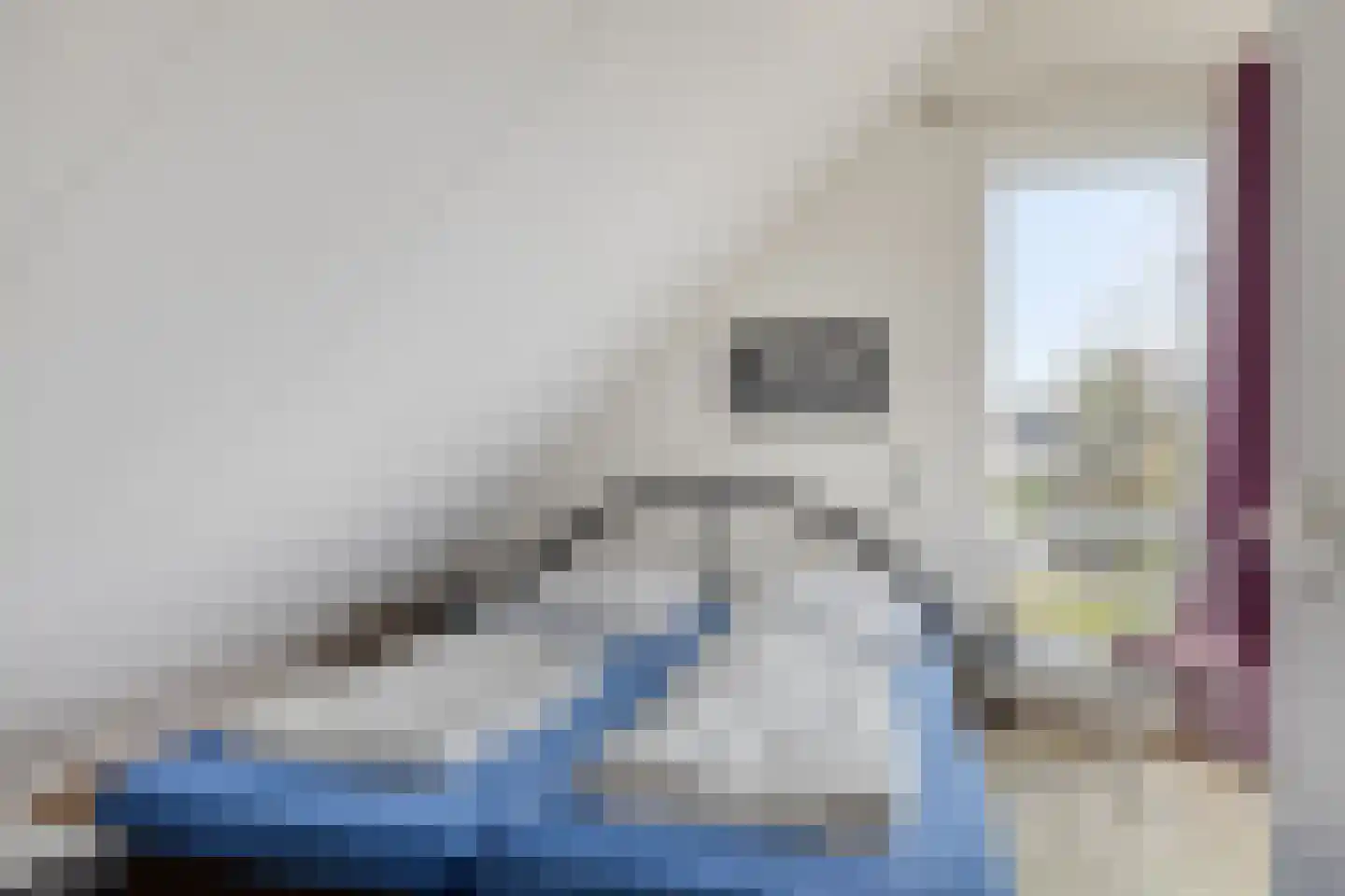 Hopman de Rijklaan 63 Vrouwenpolder thumbnail 24