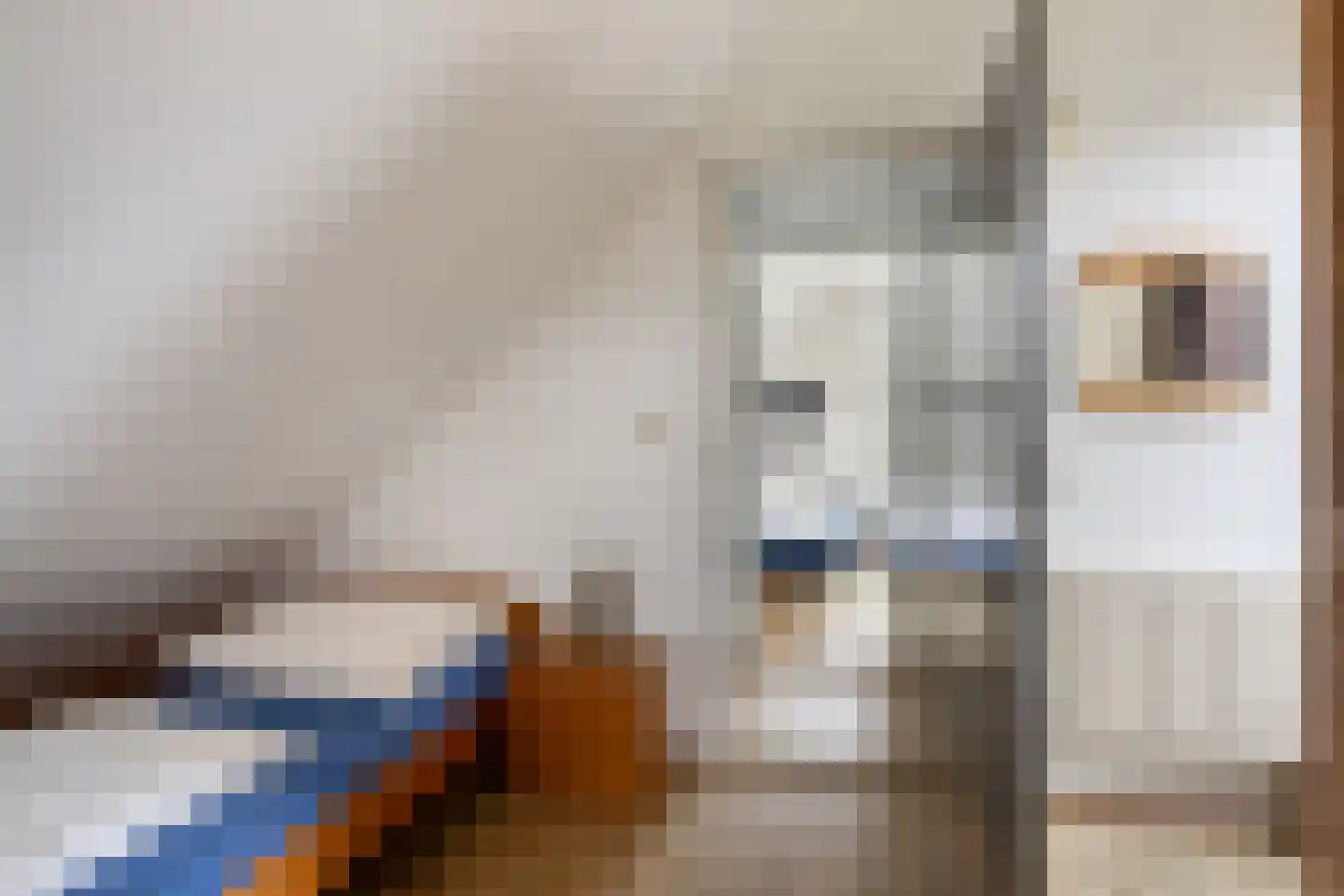 Hopman de Rijklaan 63 Vrouwenpolder thumbnail 29