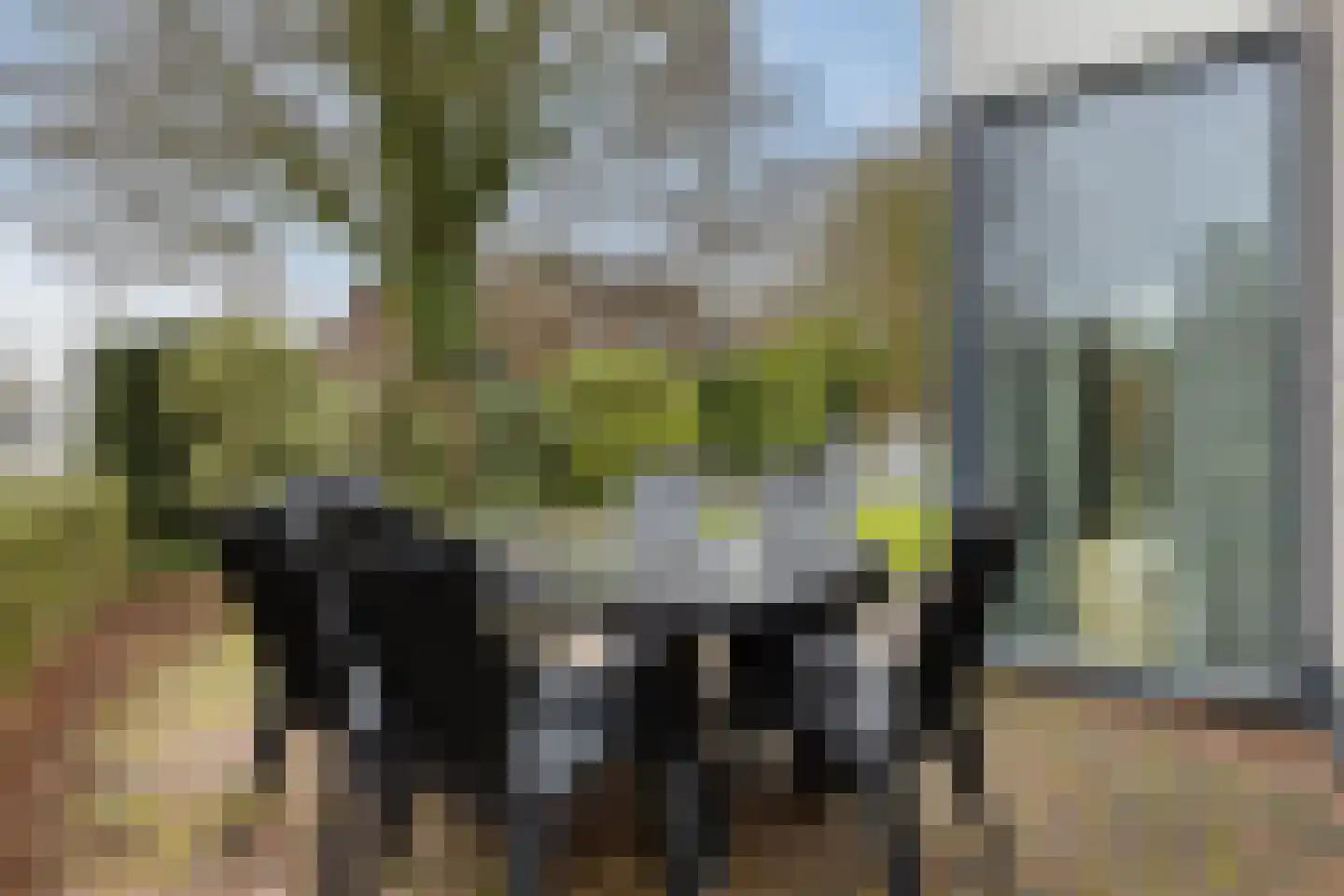 Hopman de Rijklaan 63 Vrouwenpolder thumbnail 36