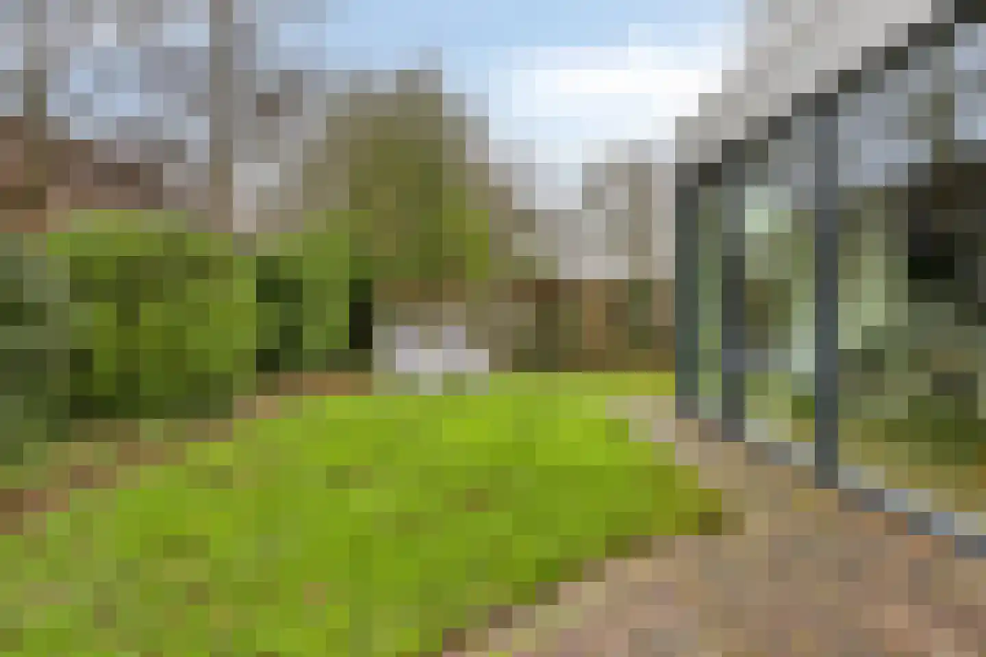 Hopman de Rijklaan 63 Vrouwenpolder thumbnail 37