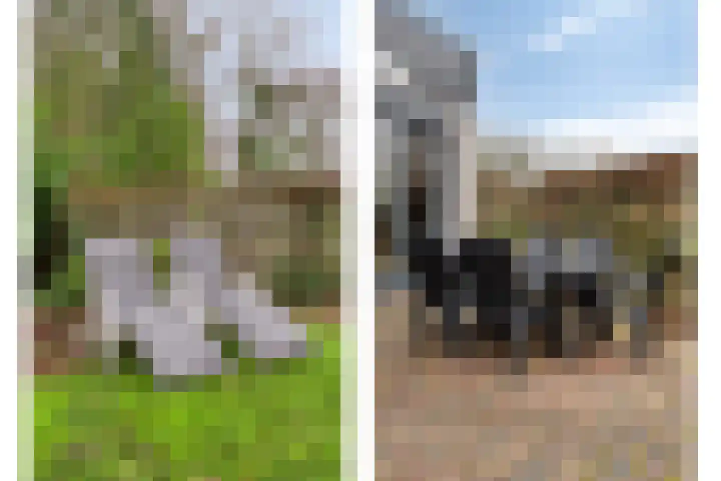 Hopman de Rijklaan 63 Vrouwenpolder thumbnail 38
