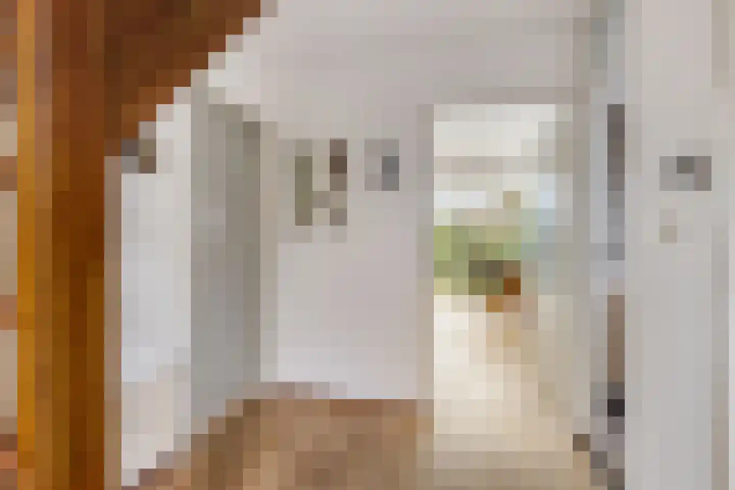 Hopman de Rijklaan 63 Vrouwenpolder thumbnail 4