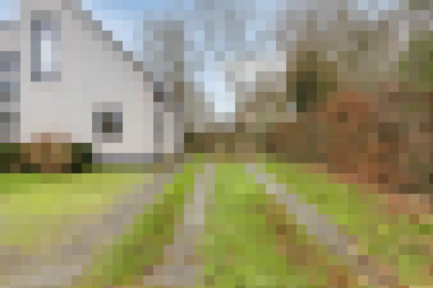 Hopman de Rijklaan 63 Vrouwenpolder thumbnail 42