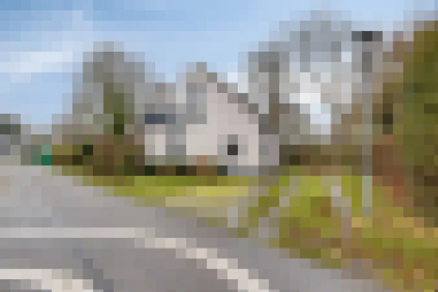 Hopman de Rijklaan 63 Vrouwenpolder thumbnail 43