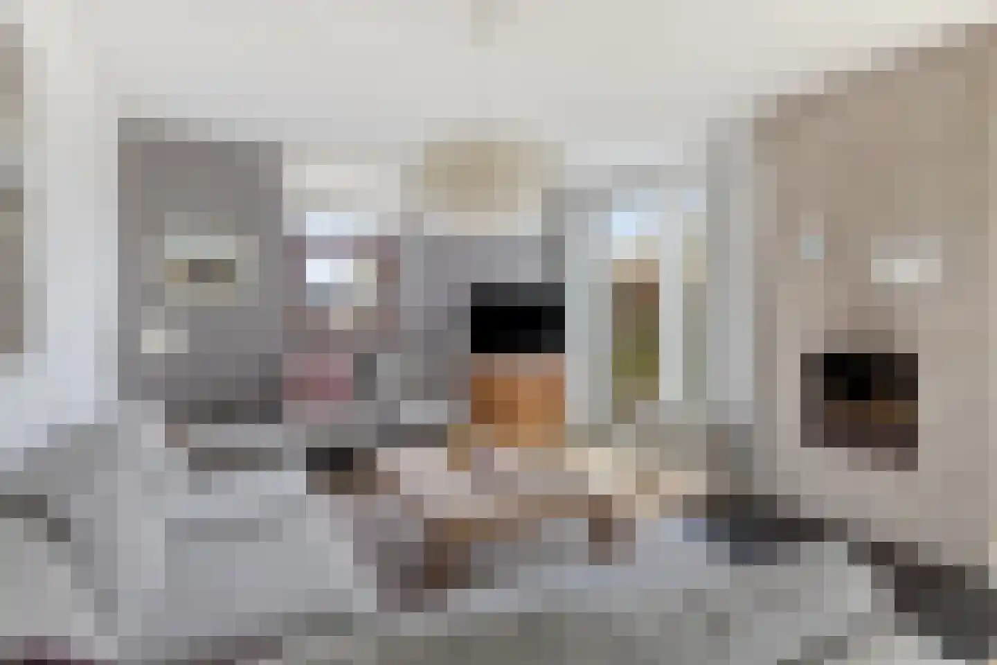 Hopman de Rijklaan 63 Vrouwenpolder thumbnail 5