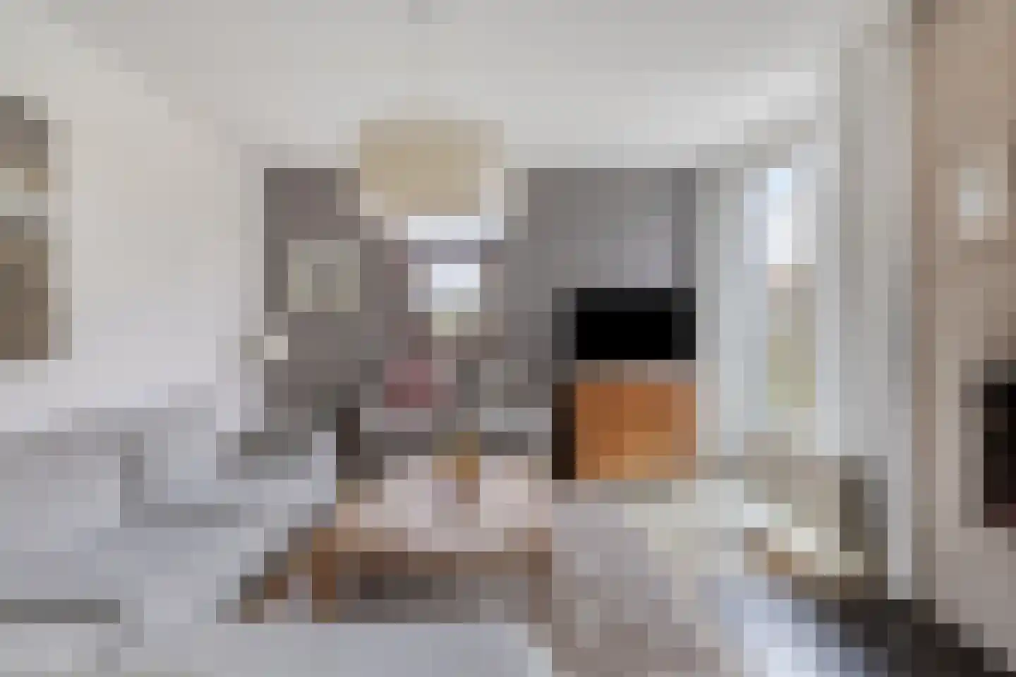 Hopman de Rijklaan 63 Vrouwenpolder thumbnail 6
