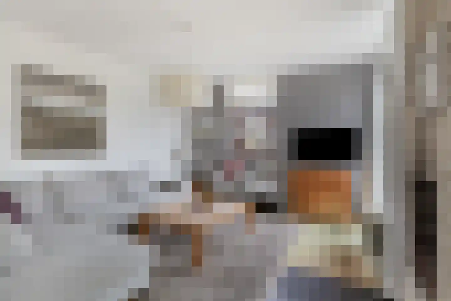 Hopman de Rijklaan 63 Vrouwenpolder thumbnail 7