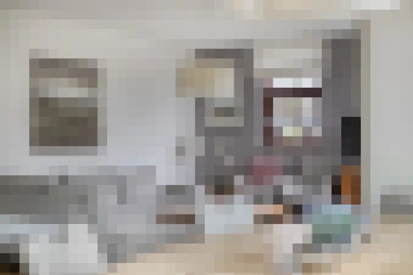Hopman de Rijklaan 63 Vrouwenpolder thumbnail 8