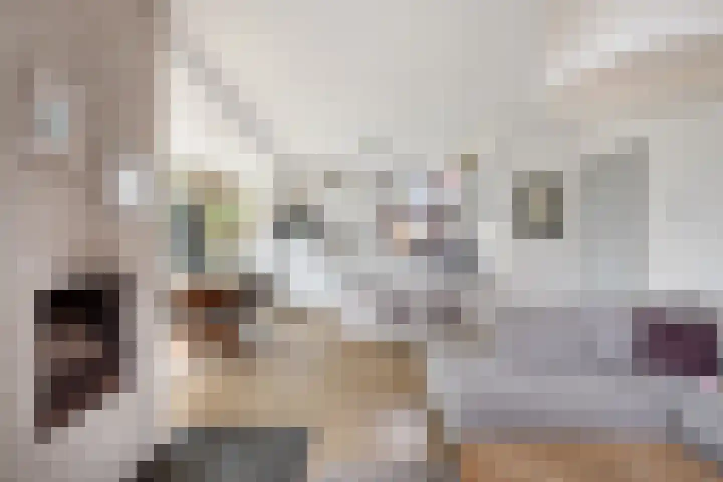 Hopman de Rijklaan 63 Vrouwenpolder thumbnail 9