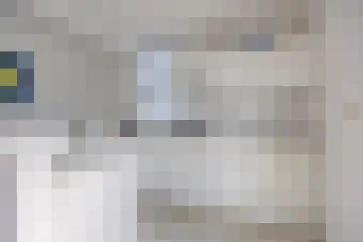 Hopman de Rijklaan 71 Vrouwenpolder thumbnail 11