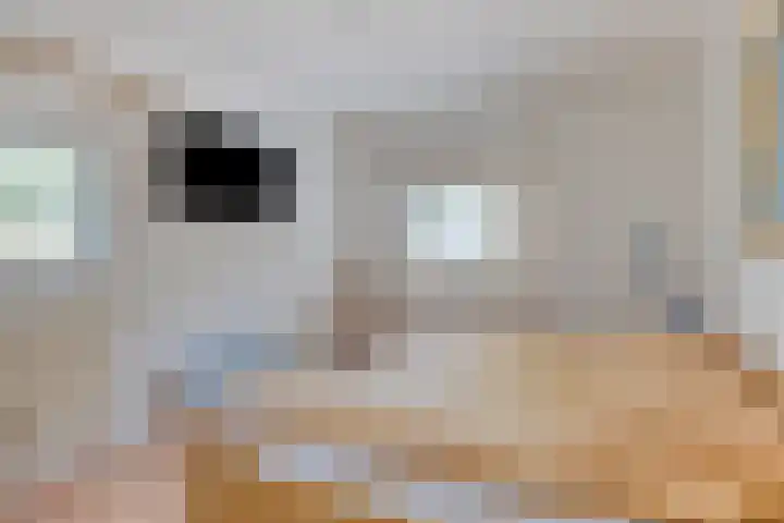 Hopman de Rijklaan 71 Vrouwenpolder thumbnail 12