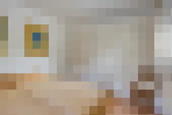 Hopman de Rijklaan 71 Vrouwenpolder thumbnail 13