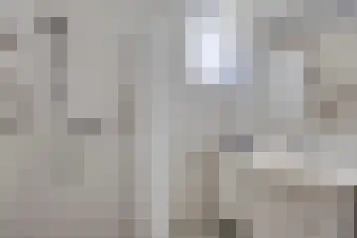 Hopman de Rijklaan 71 Vrouwenpolder thumbnail 14